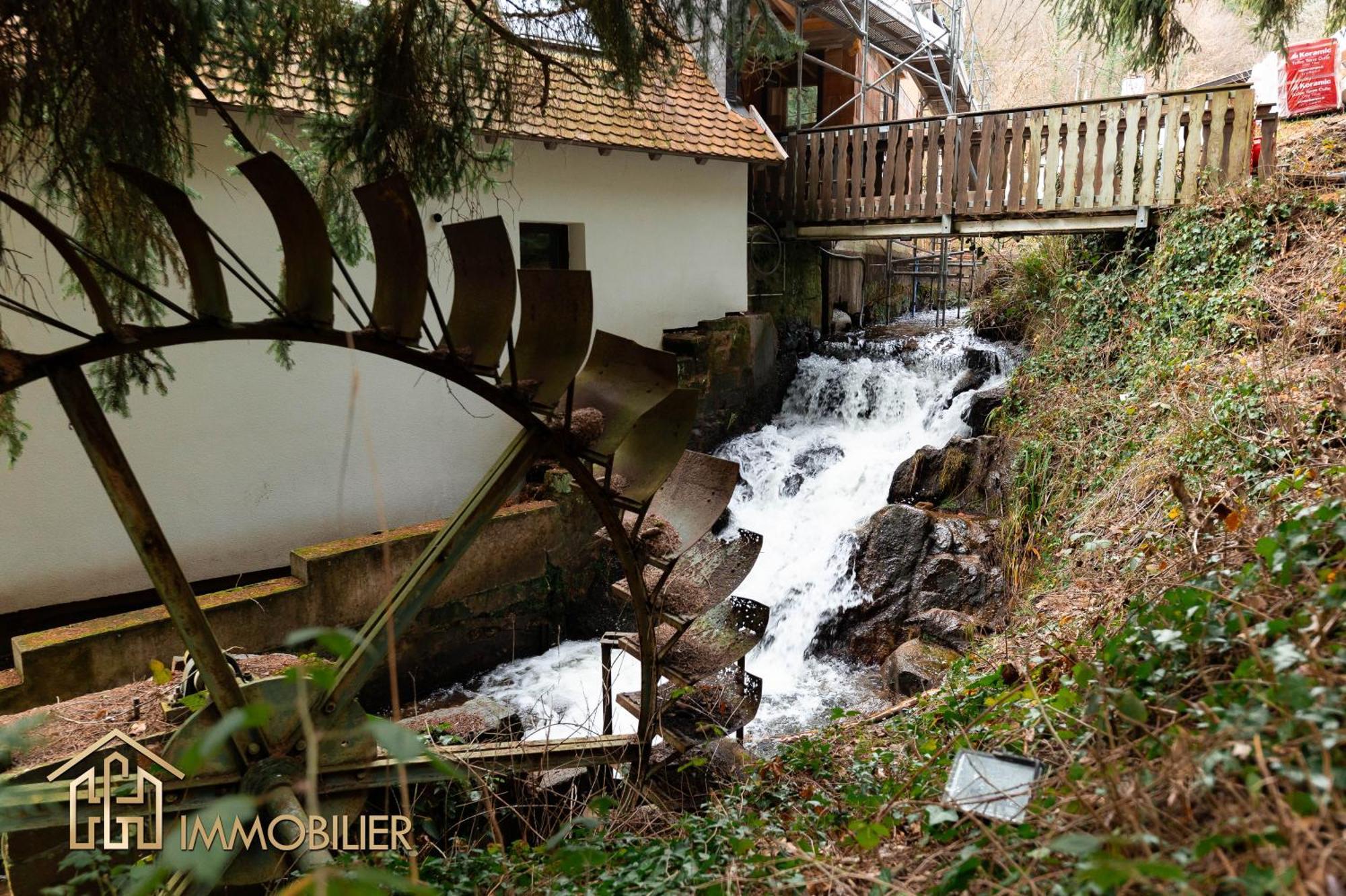 Domaine De La Source Gites 4 Personnes Au Calme Barr Exterior foto